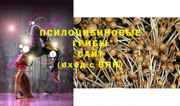 MDMA Premium VHQ Алзамай
