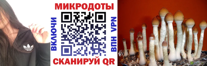 Псилоцибиновые грибы MAGIC MUSHROOMS  MEGA как войти  Нижние Серги 